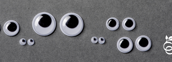 THROUGH THE EYES OF EB